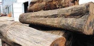 木材进口政策有变 无异于又添利空